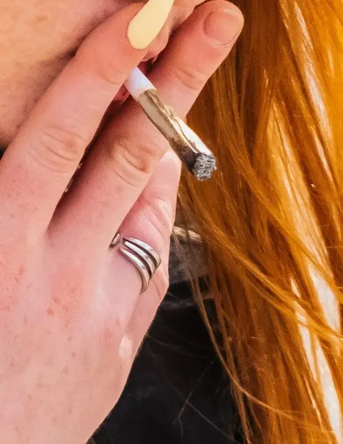 pre-rolls